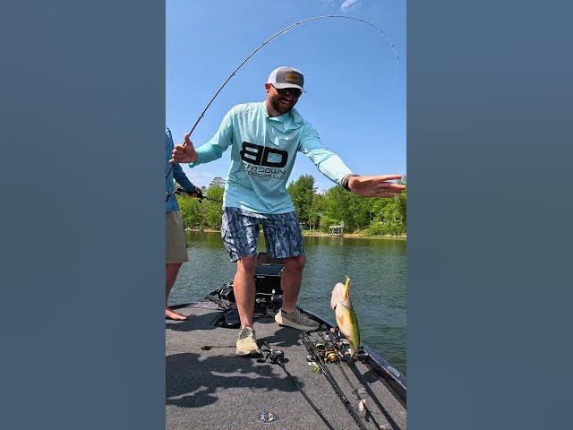 Video thumbnail for Watch now - sight fishing with the @BooyahFishingLures Flash Point😮💨