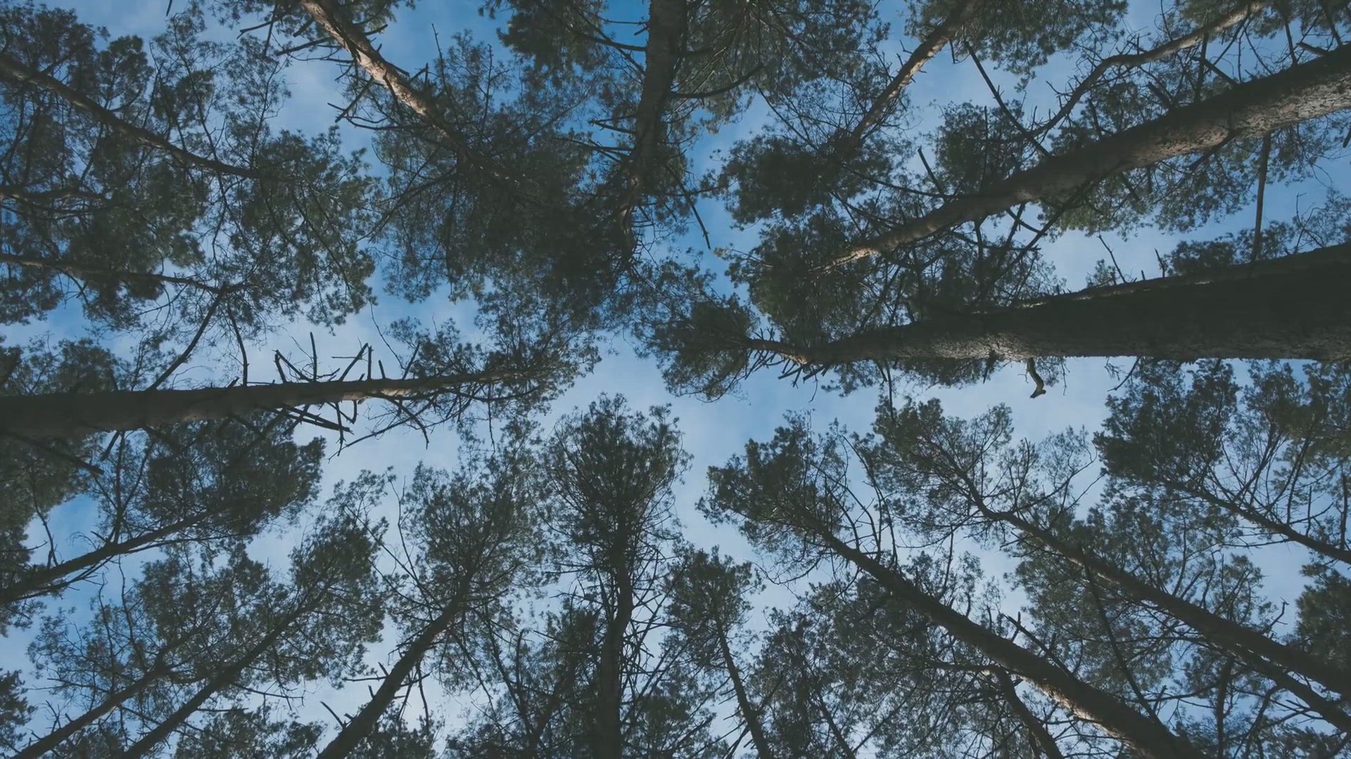 Video thumbnail for Earth Elemental Magic: Basics and Beginner Spells