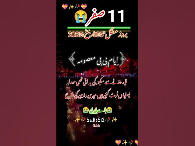 Video thumbnail for 11 August 2025