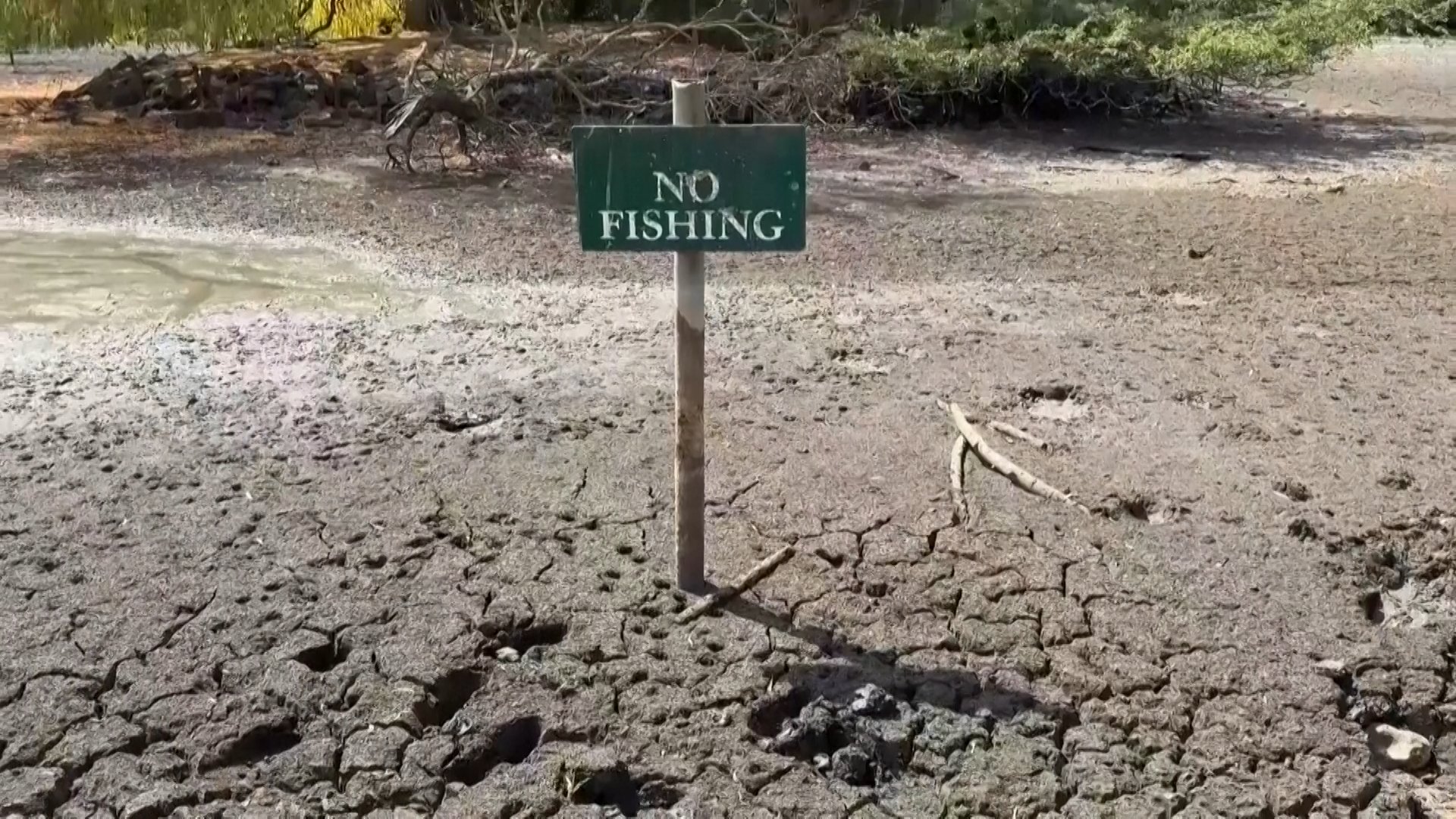 Video thumbnail for Record drought grips Europe as rivers and crops dry up