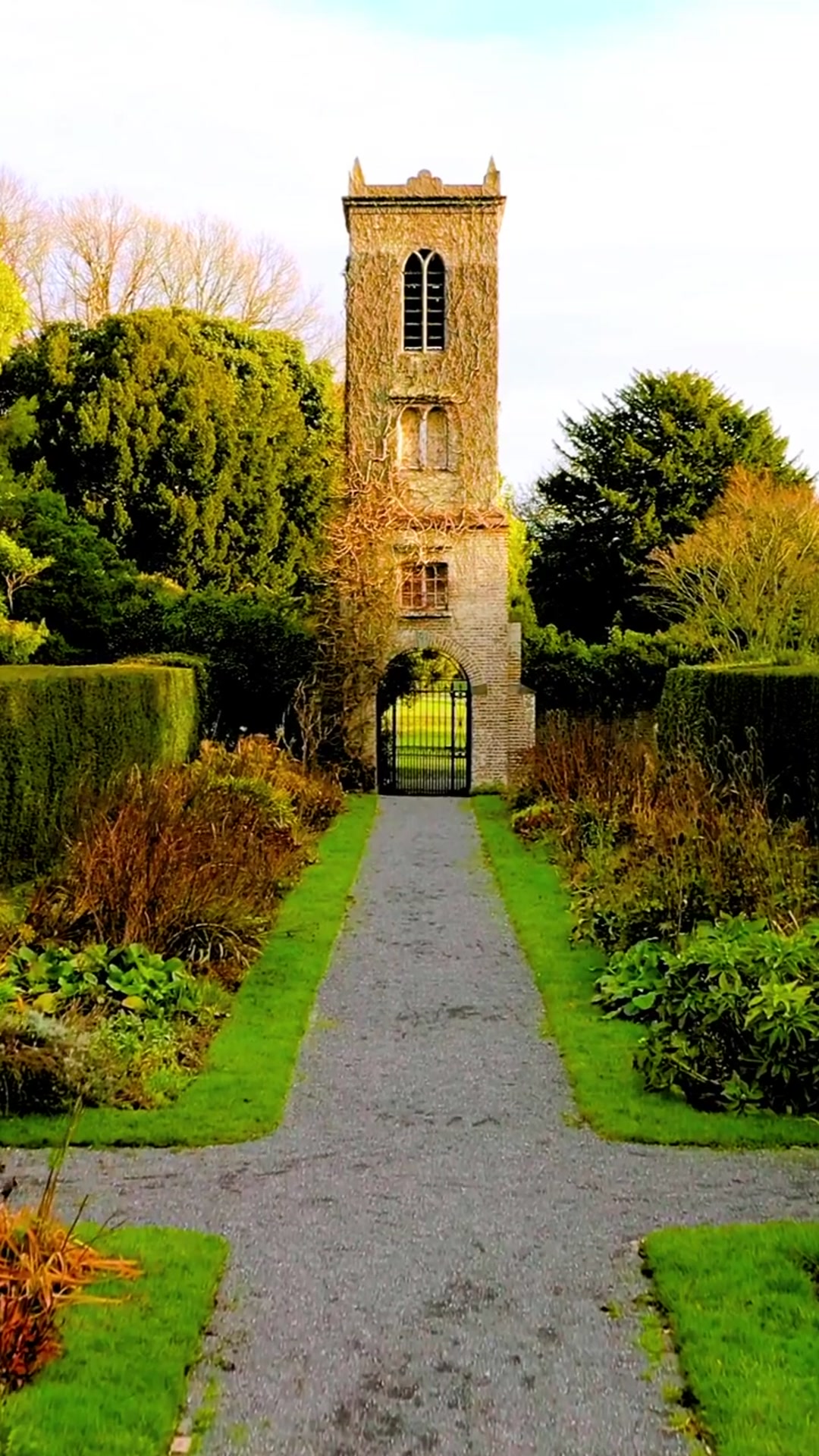 Video thumbnail for 5 Cheapest Universities in Ireland #ireland #studyabroad #university