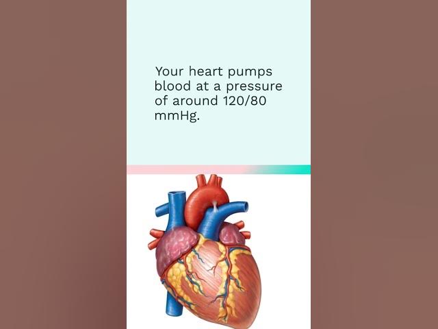 Video thumbnail for You Won't Believe These Incredible Facts About Your Body!
