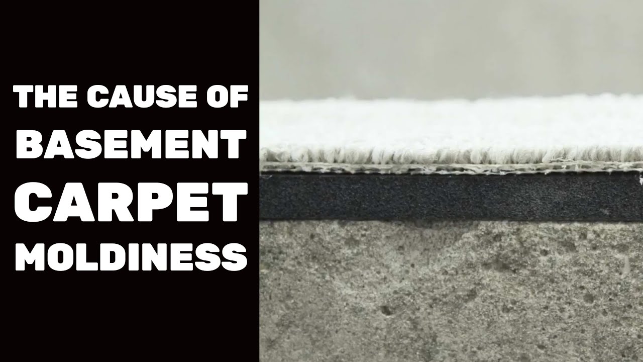 Video thumbnail for BASEMENT FINISHING COURSE VIDEO: The Cause of Basement Carpet Moldiness