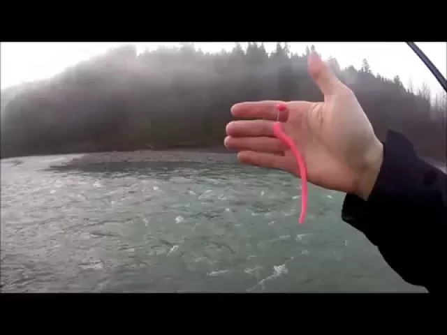Video thumbnail for Steelhead Fishing - Chilliwack River & Pink Worm Change Up