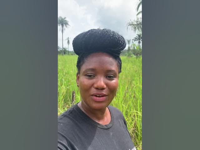 Video thumbnail for View of the farm, video 1 of 3 - Monrovia, Liberia