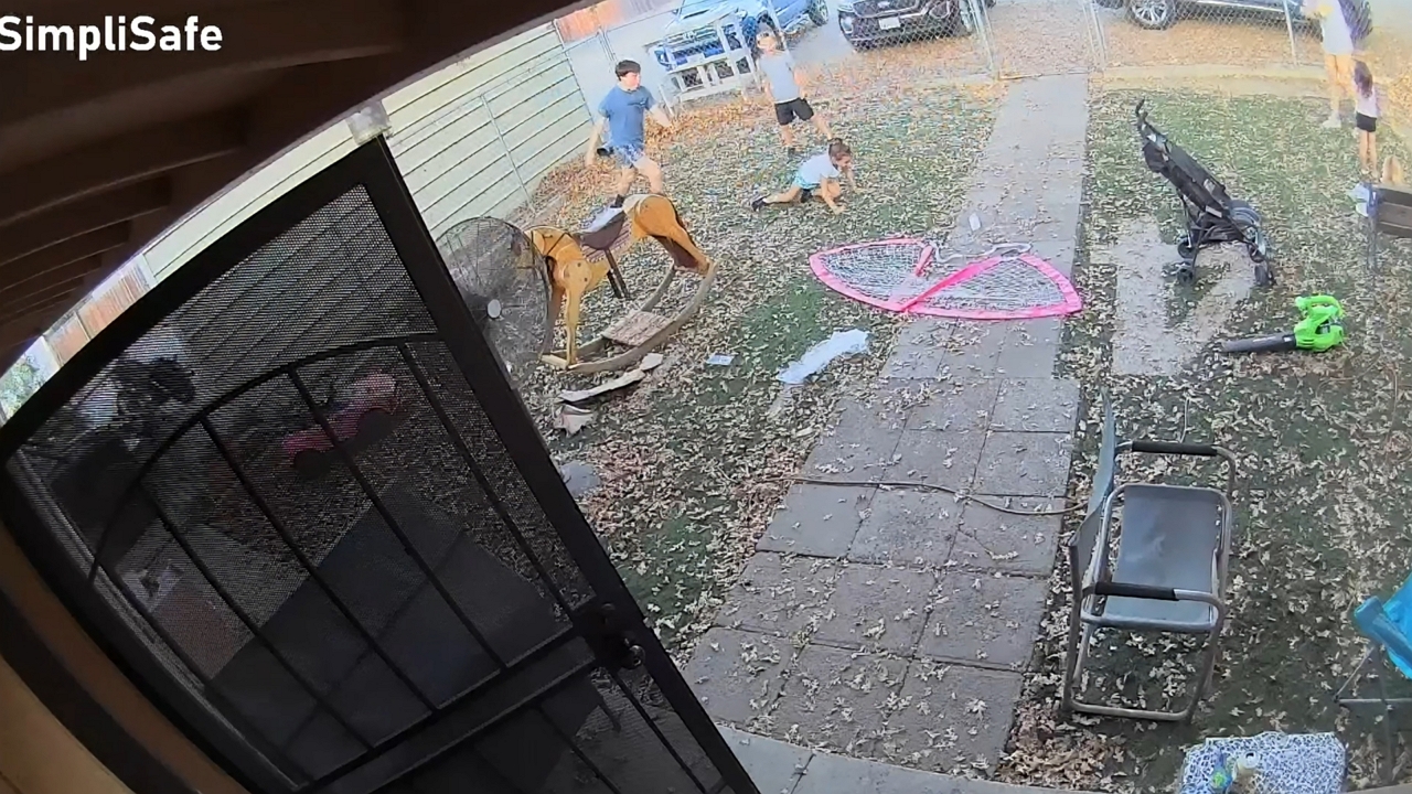 Video thumbnail for Football Accidentally Hits Young Girl During Family Game