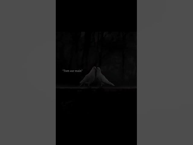 'Video thumbnail for hello world 37'