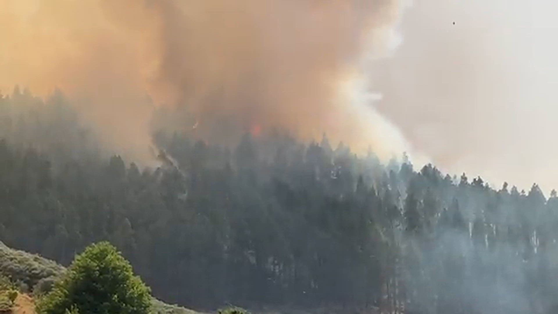 'Video thumbnail for Waldbrand - Tejeda 25-07-23'