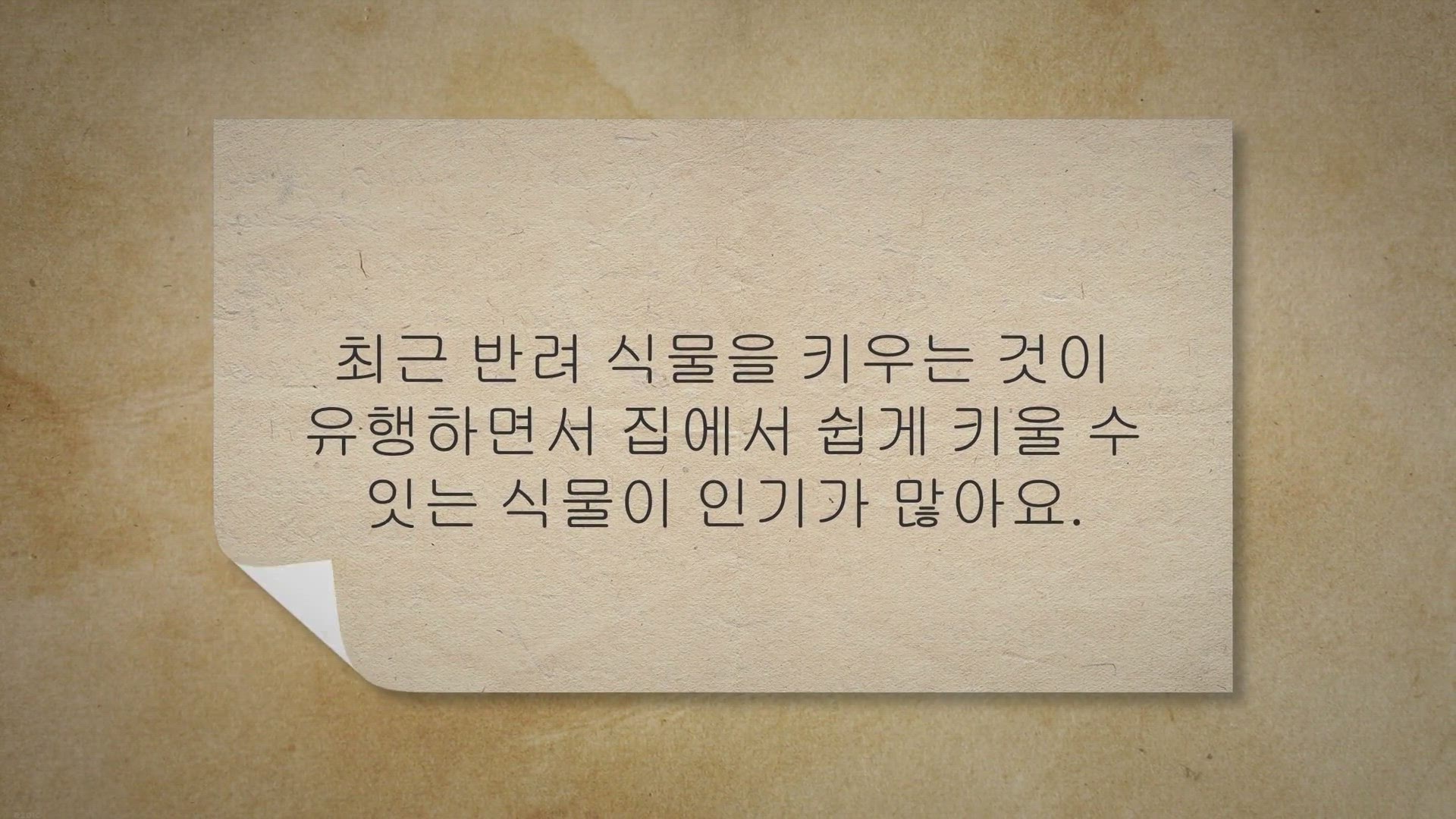 Video thumbnail for 키우기 쉬운 식물 10가지, 초보자 추천해요