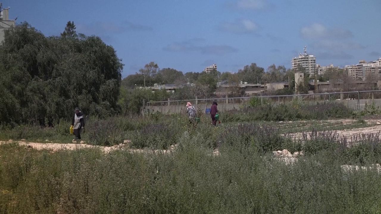 Video thumbnail for Lebanon: Incessant regional conflict, collapsing currency deepen food crisis in Lebanon.