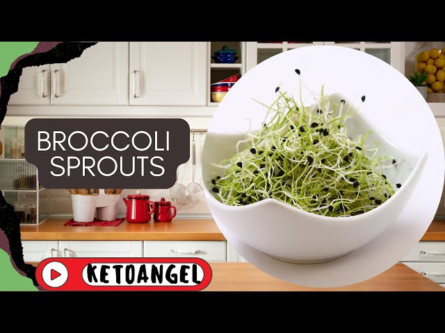 'Video thumbnail for Broccoli Sprouts: The Nutrient-Packed Superfood You Need in Your Diet'