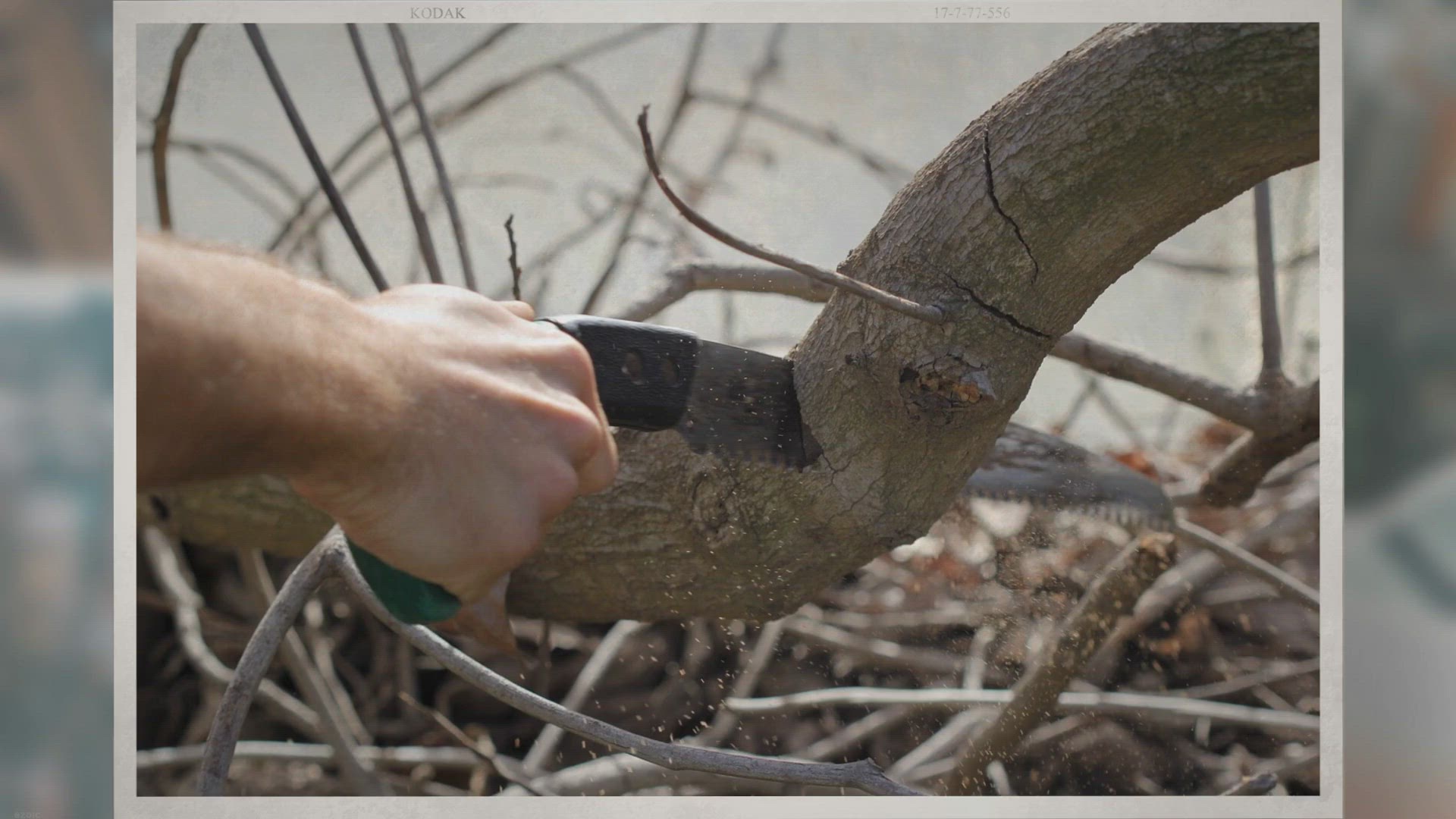 Video thumbnail for Unleashing the Power of a Folding Saw for Bushcraft: The Ultimate Tool for Your Outdoor Adventure