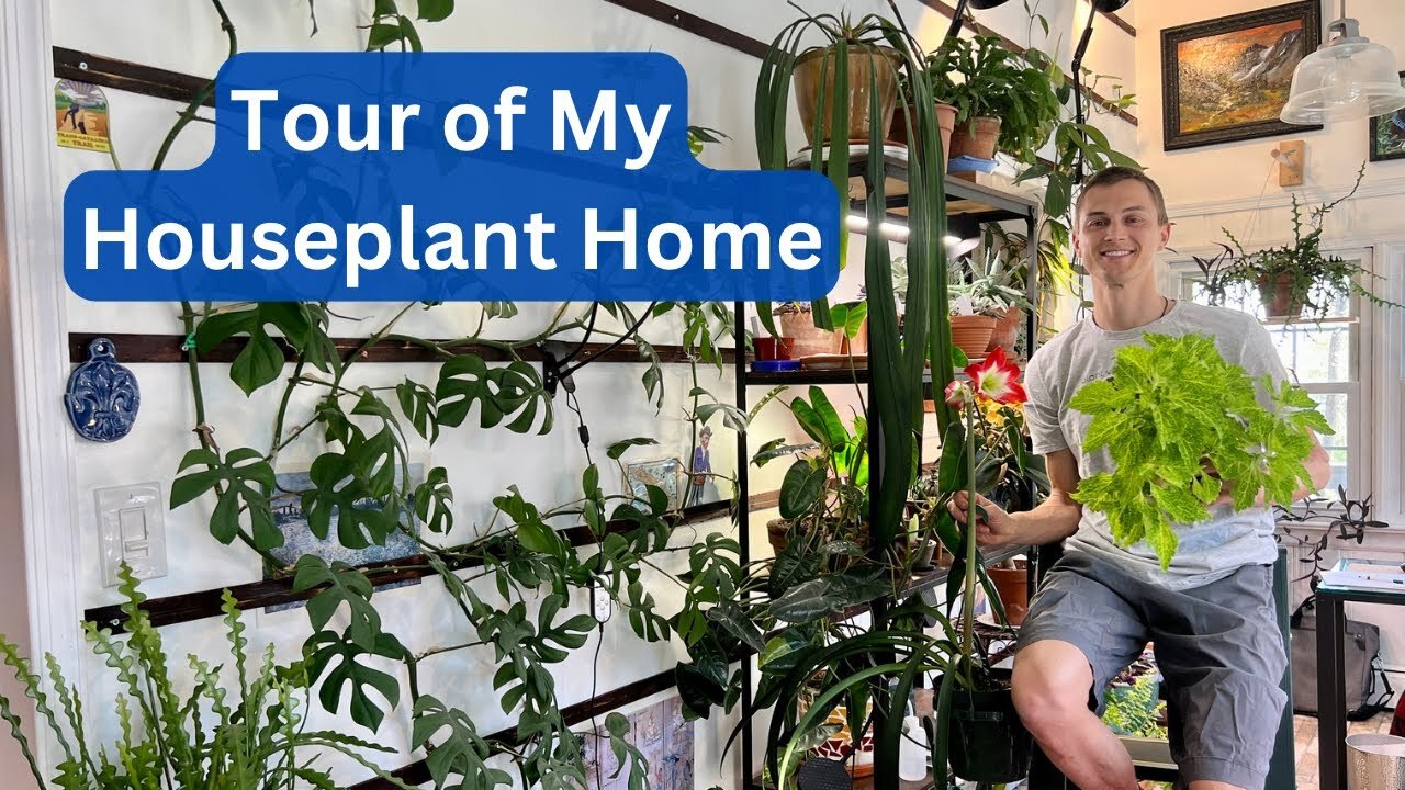 Video thumbnail for Tour of my HOUSEPLANT Home