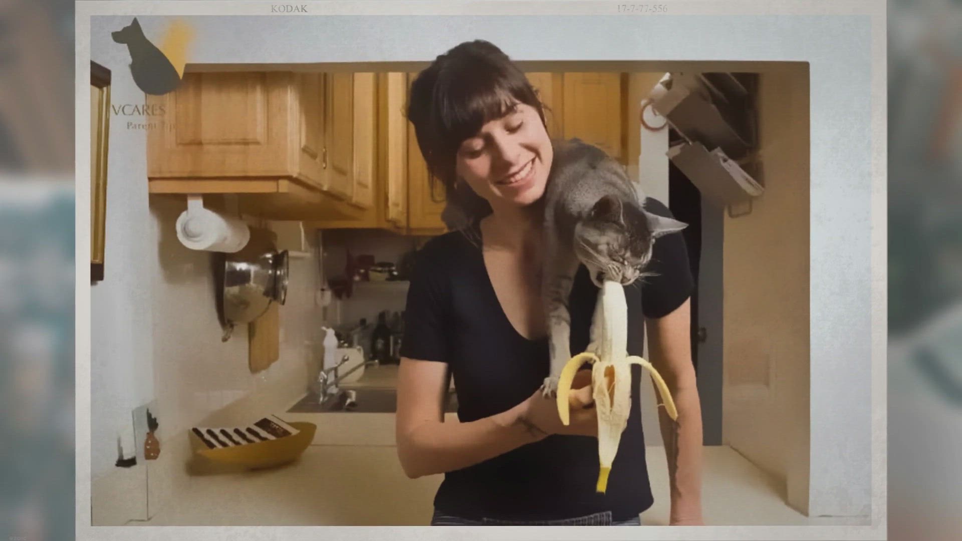 'Video thumbnail for Can Cats Eat Bananas? Read Before Feed Them!'