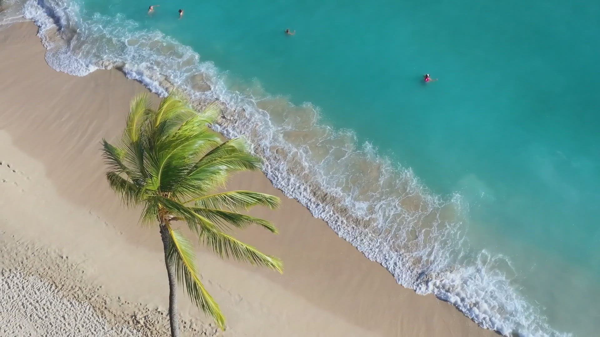 'Video thumbnail for Guide: Punta Cana's Climate: A Year-Round Tropical Paradise'