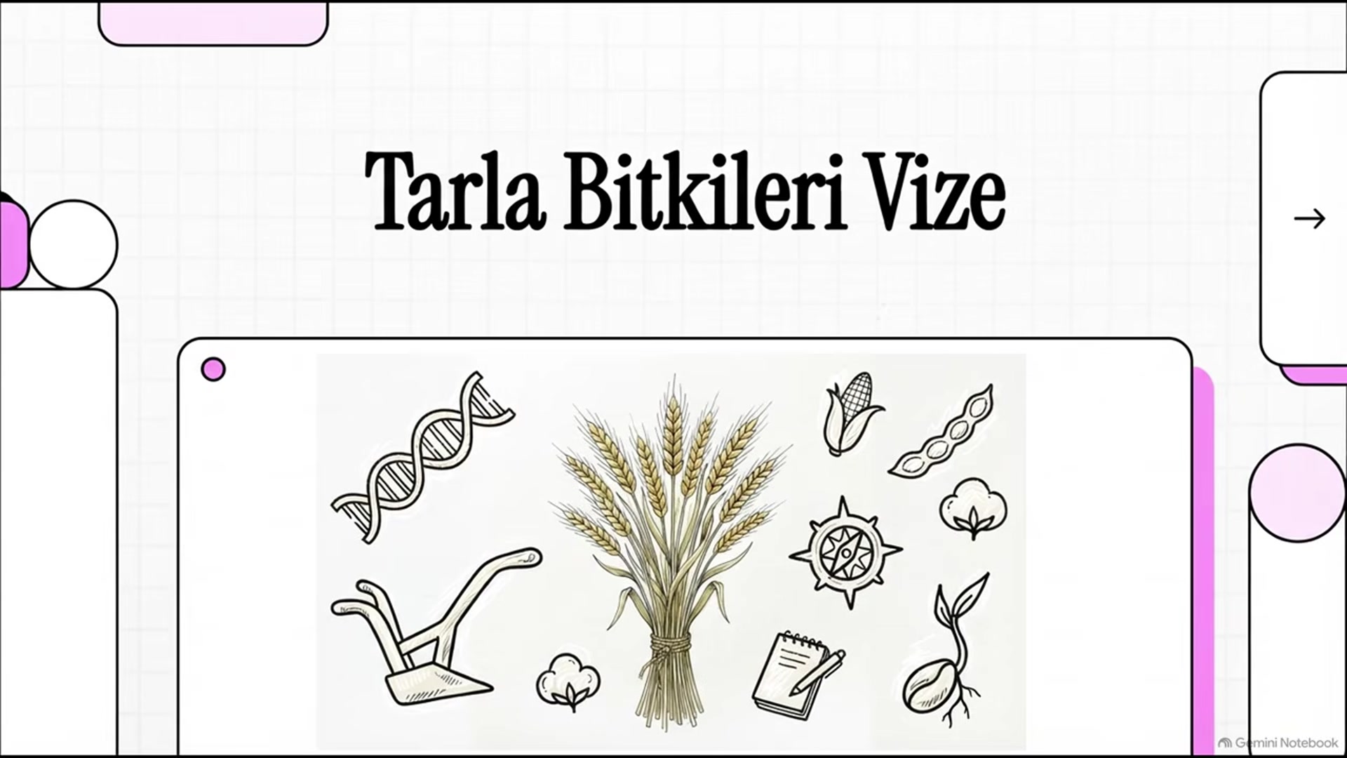 Video thumbnail for TRM215U Tarla Bitkileri 2025-2026 Vize Soruları