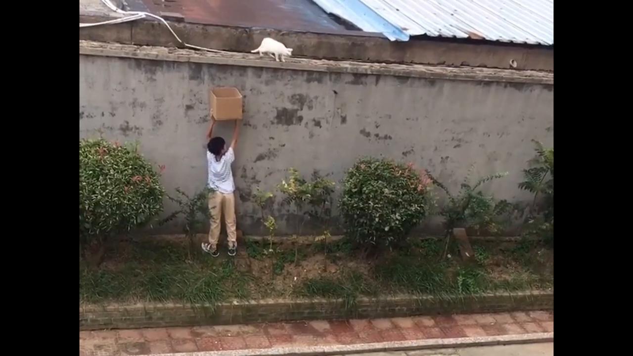 Video thumbnail for China: Chinese boy lifts box to rescue stranded cat.