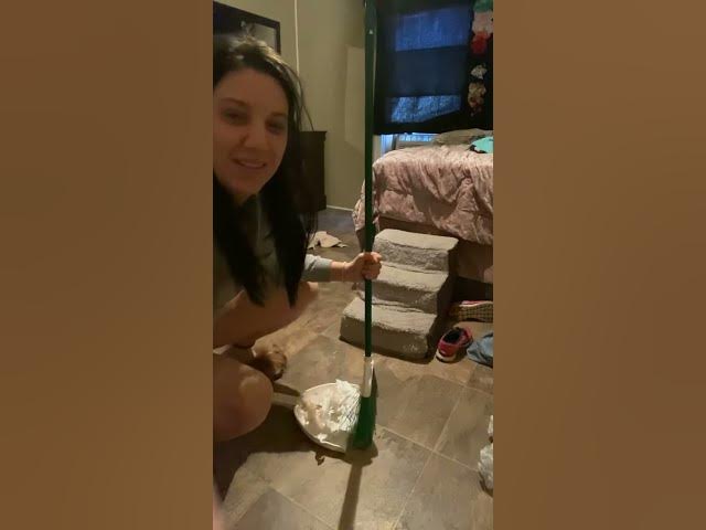 Video thumbnail for Dogs of youtube