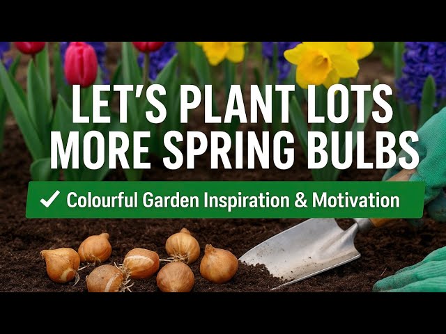 Video thumbnail for 🎥 ✅ 🌸 Let’s Plant Lots More Spring Bulbs 🌷 | Colourful Garden Inspiration & Motivation