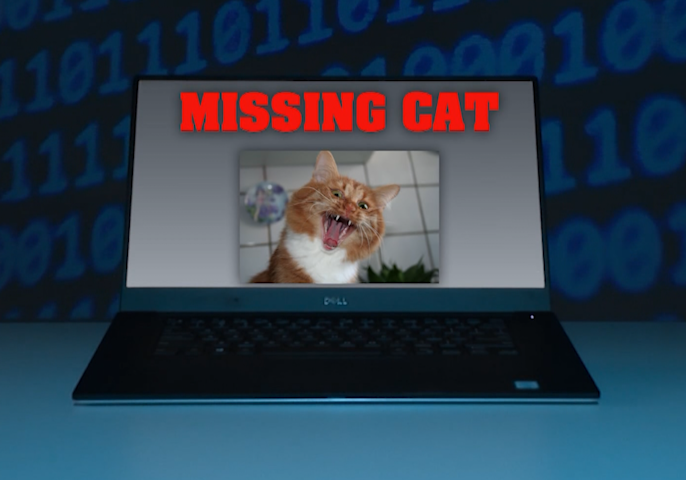 Video thumbnail for Scammers exploit missing pets with fake photos and demands for money, BBB says
