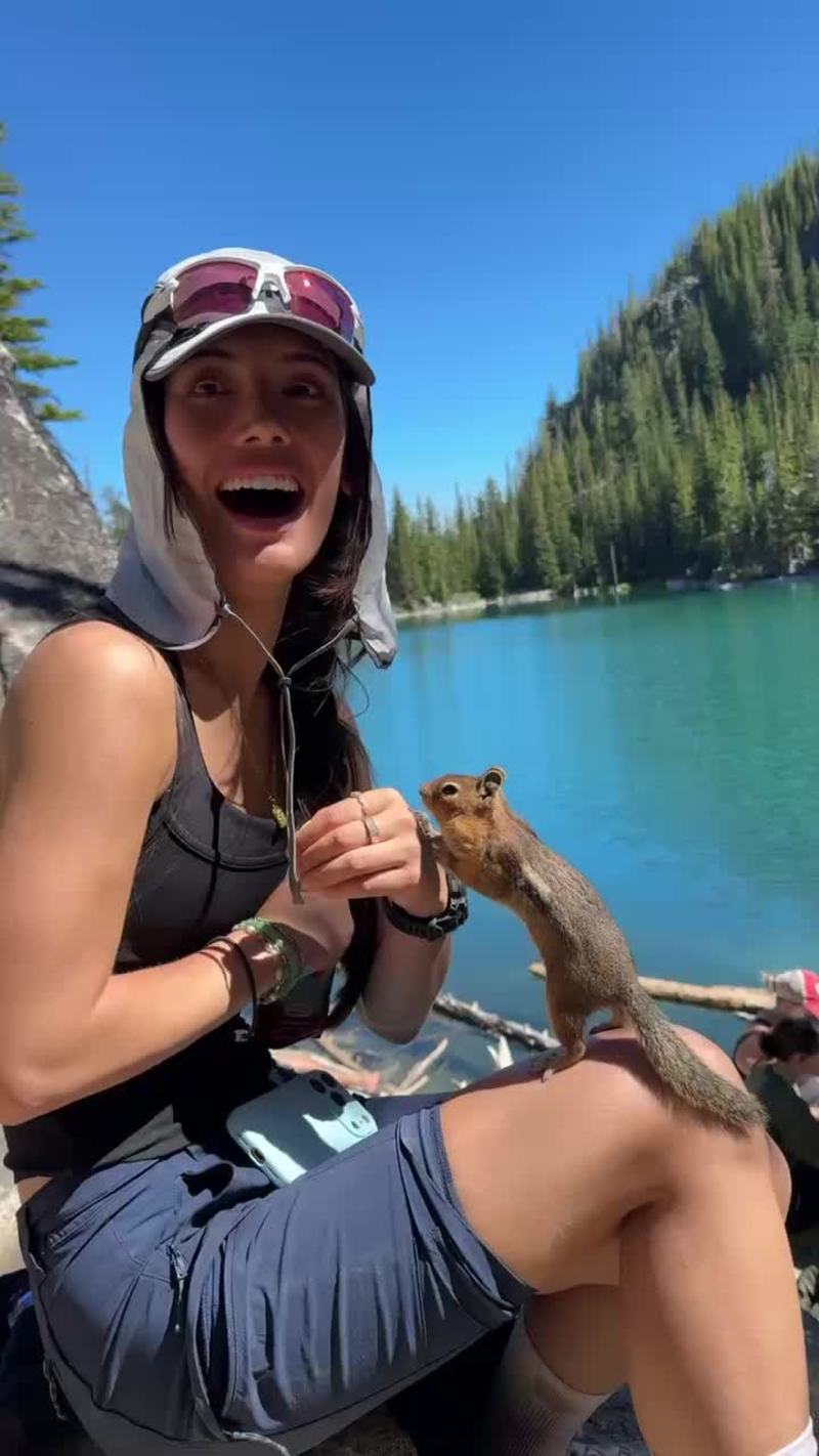 Video thumbnail for Playful Chipmunk Climbs onto Hiker by Alpine Lake