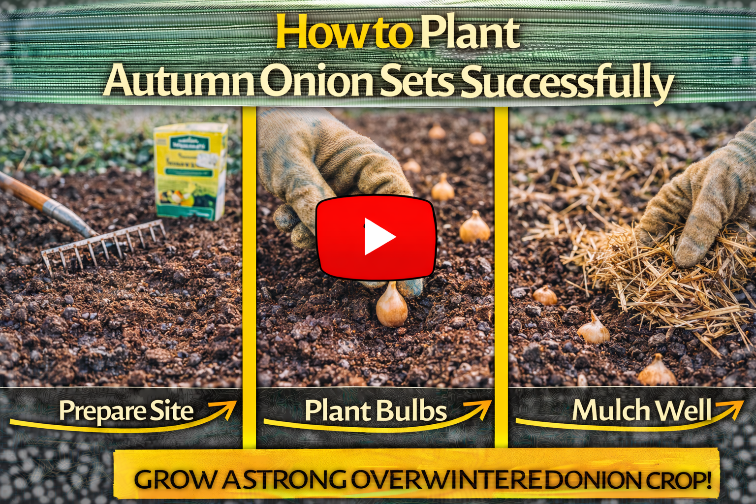 Video thumbnail for How to Plant Autumn Onion Sets Successfully