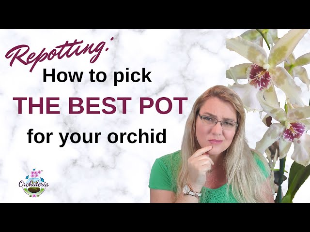 Video thumbnail for How To Choose The Right Orchid Pot: Size, Material,  & Characteristics
