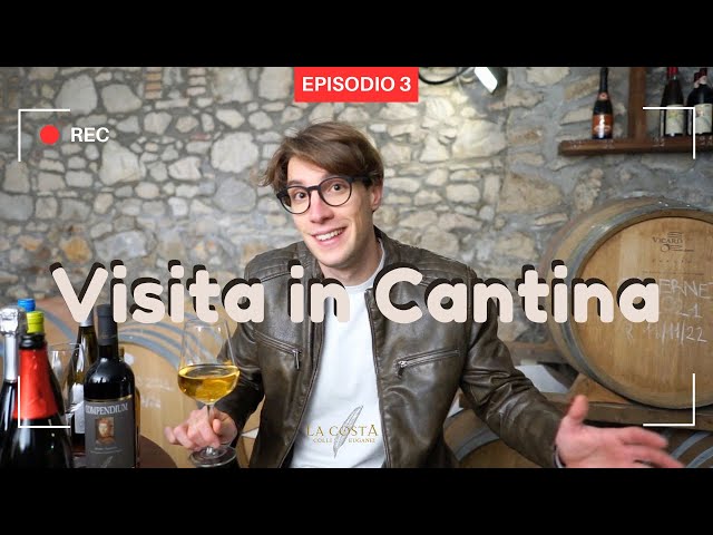 'Video thumbnail for Visita alla CANTINA LA COSTA sui COLLI EUGANEI'