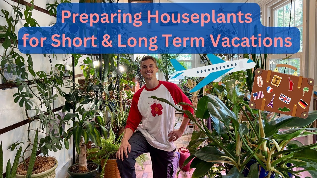 Video thumbnail for Houseplant Care while Traveling on Vacation - Long Term & Short Term