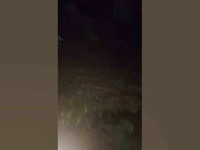 Video thumbnail for Night hiking but i go insane and its scary