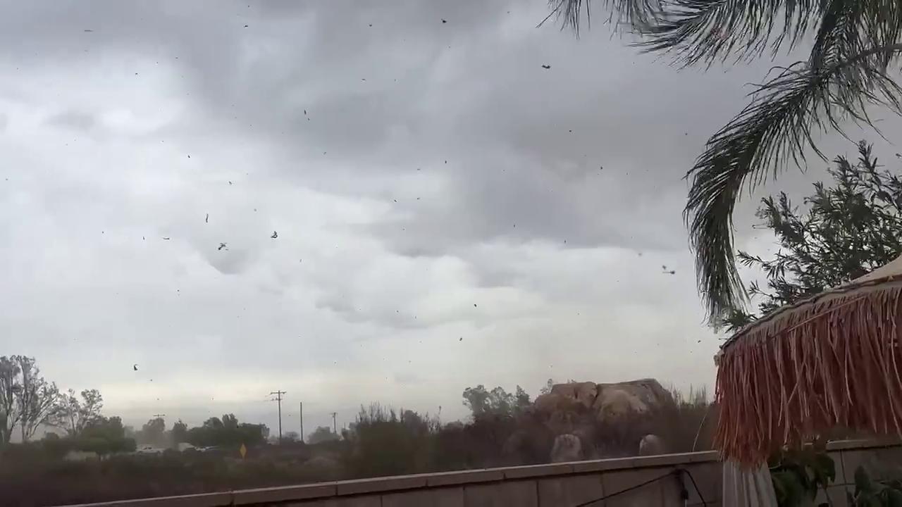 Video thumbnail for US: Tropical Storm Rachel Brings Intense Winds and Rain to California’s Riverside County.