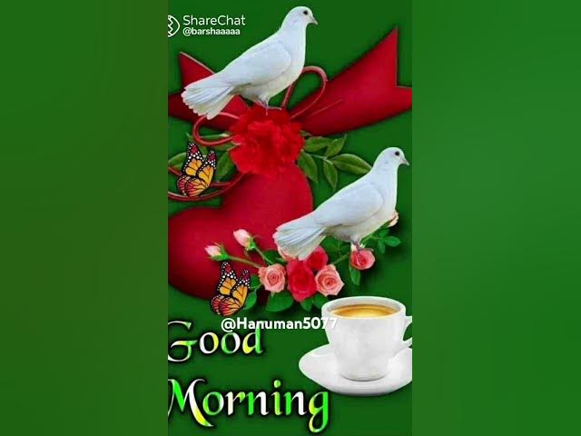 Video thumbnail for ๐น๐นTune milke rangi vo sang๐น๐น