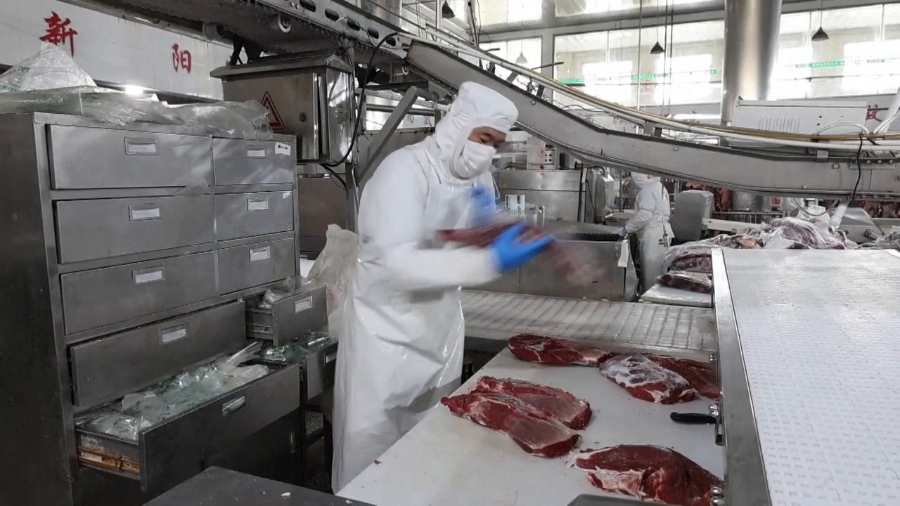 Video thumbnail for China: Smart technology transforms cattle farming in China.