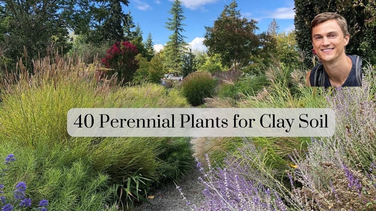 Video thumbnail for 40 Perennial Plants for CLAY Soil in the Garden