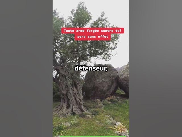 Video thumbnail for Toute arme forgée contre toi sera sans effet ; et toute langue qui s'élèvera en justice contre toi.