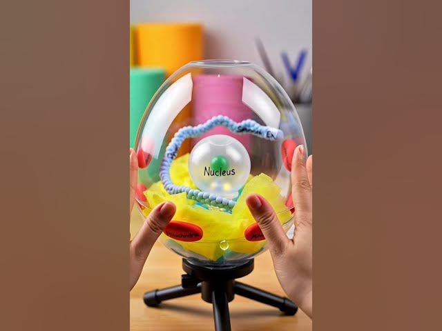 Video thumbnail for Dr.Mohamed Ismail            في الصحة والعلم فانوس رمضان على شكل الخلية ودعاء للجميع بالخير والرزق