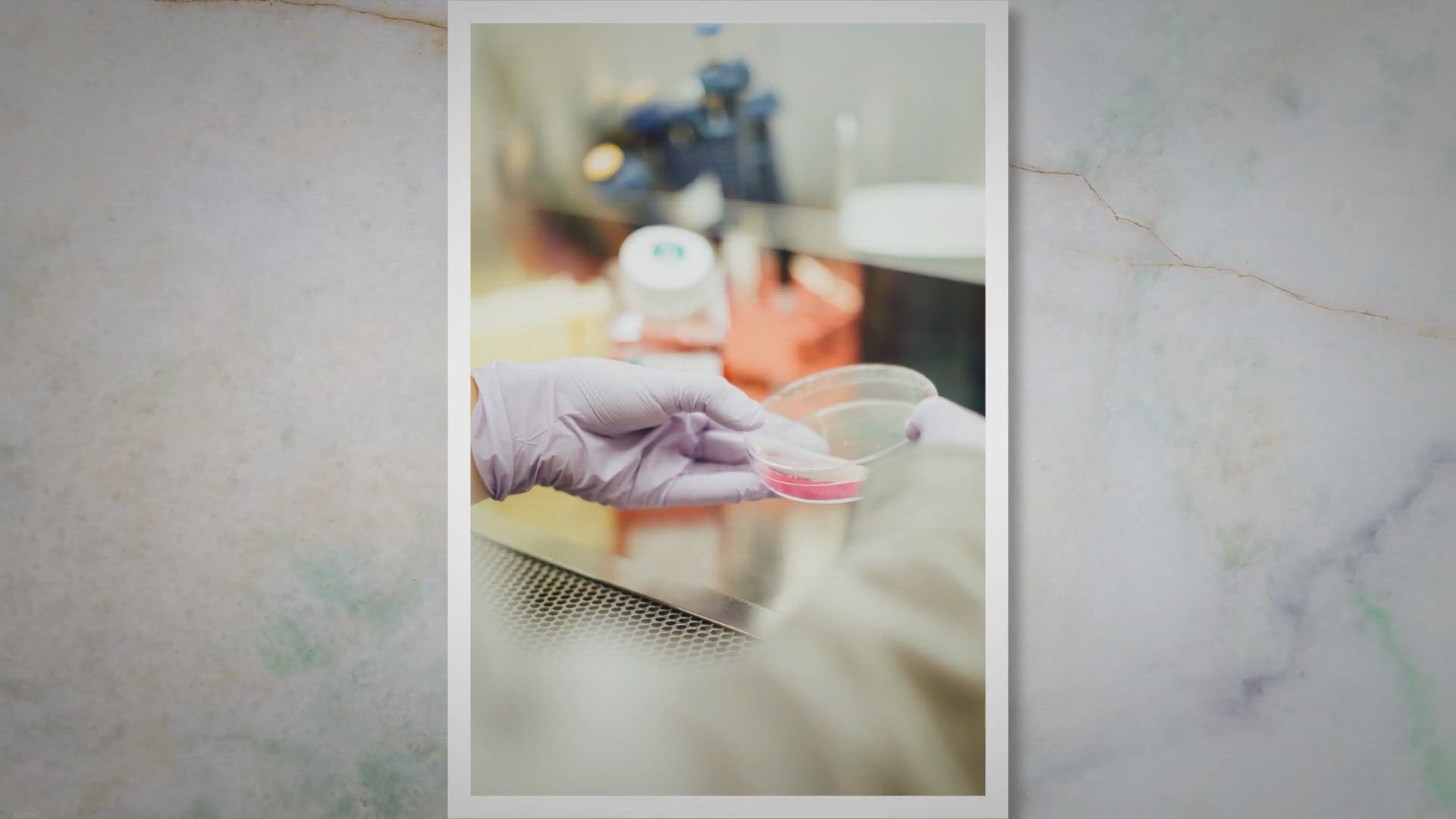 'Video thumbnail for Unlocking the Power of Simple Random Sampling: A Guide for Social Scientists'