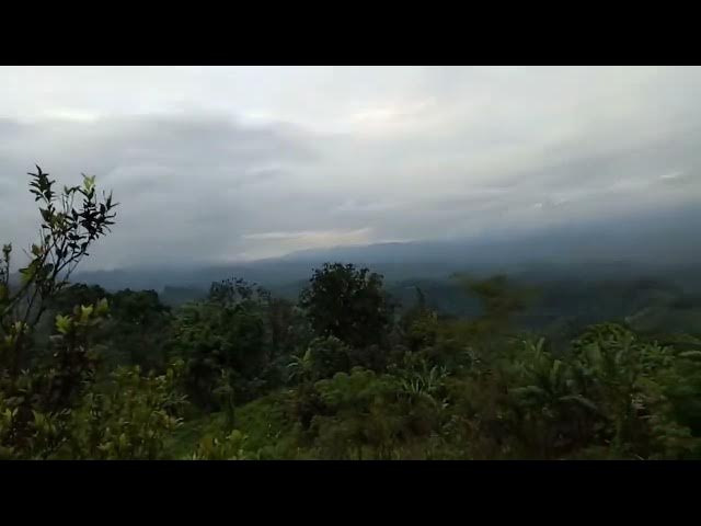 Video thumbnail for Sajek Valley Cottage View- সাজেক ভ্যালির কটেজ থেকে পাহাড়ের অপরূপ দৃশ্য । মেঘের রাজ্যে। রাঙ্গামাটি।
