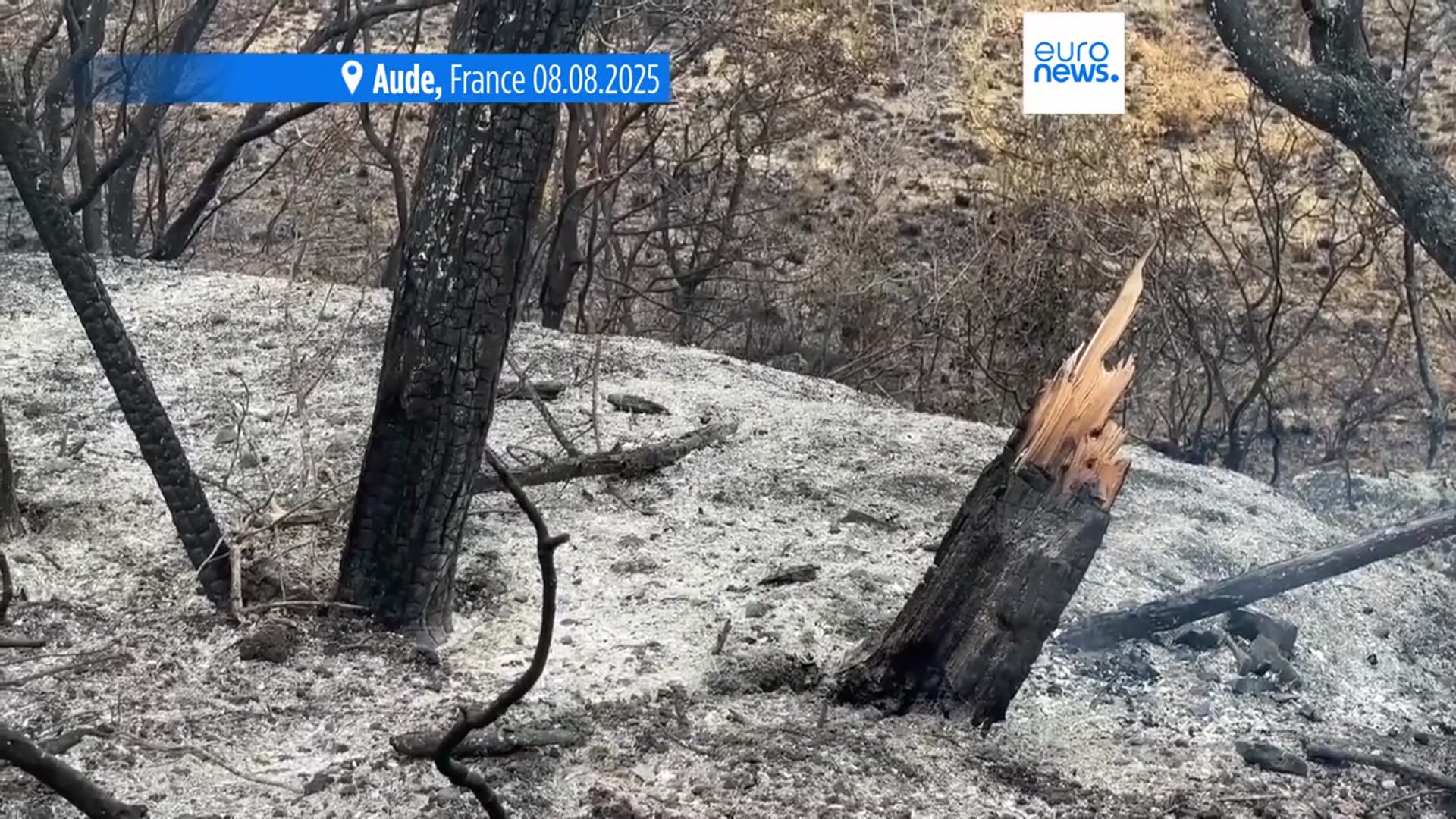 'Video thumbnail for Wildfires rage across southern Europe amid record temperatures'