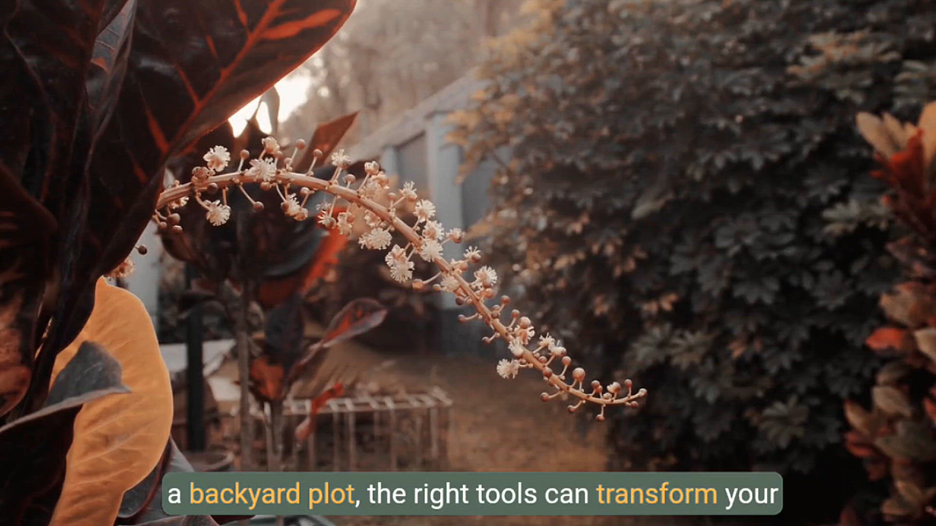 Video thumbnail for Kitchen Garden Tools Must-Have Equipment for Home Gardening