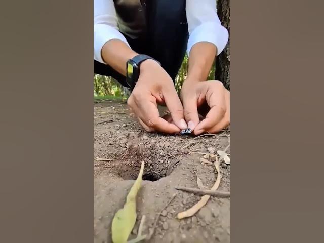 Video thumbnail for ai ant vedieo| ai trending video #trending #ytshorts #youtubeshort