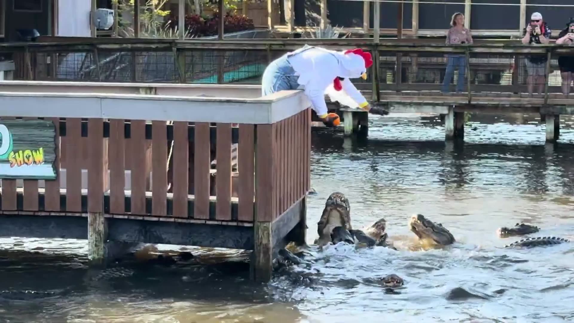 'Video thumbnail for Gators, Ghosts, and Goblins Media Preview at Gatorland 2025'