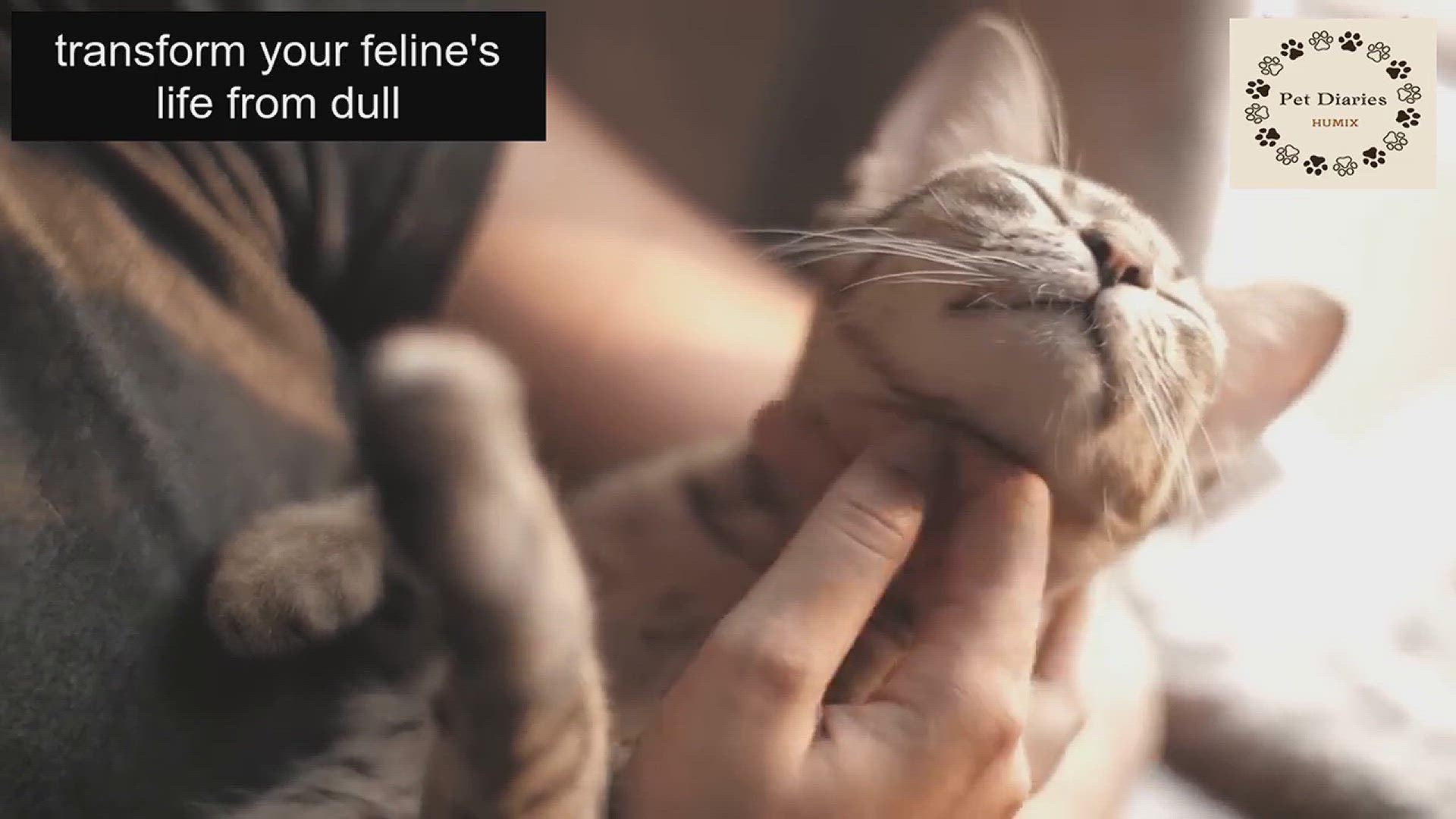 'Video thumbnail for 09 ways to make your cat happy'