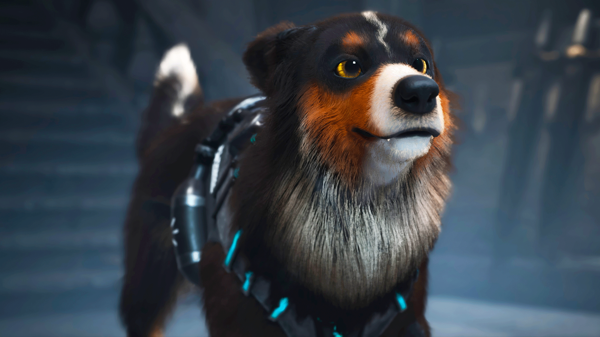 Video thumbnail for Barkour - Official Story Trailer