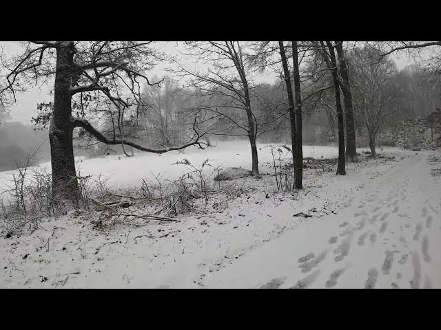 'Video thumbnail for Urban Parks: A Relaxing Nature Walk With Birds and Snow in Franklin Park - Boston, MA'