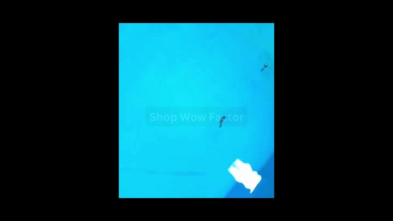 Video thumbnail for Premium Soft Fishing Lure Fishing Hook: Cast, Catch, and Reel-In! || #fishing #usa #shorts