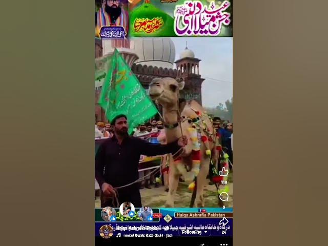 Video thumbnail for JASHAN.I.EID MILAD.UN.NABI S.A.W/ISLAMIC/RELIGIOUS#QURAN#ISLAM#QURAN#ISLAM#QURAN#ISLAM