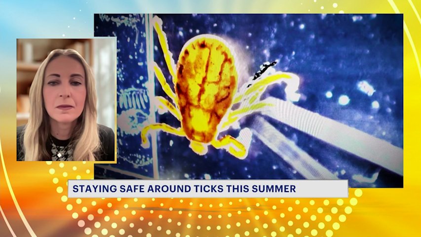 Video thumbnail for Tick safety tips from doctor as outdoor season raises risk of bites and illness