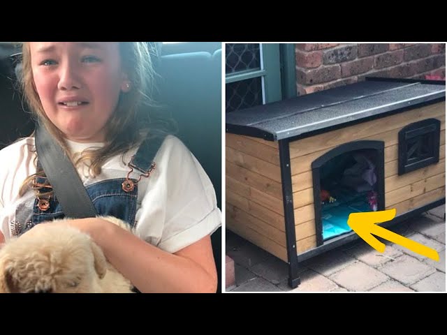 Video thumbnail for After Thieves Stole A Little Girl’s Puppy The Family Found Something Moving Next To A Ken