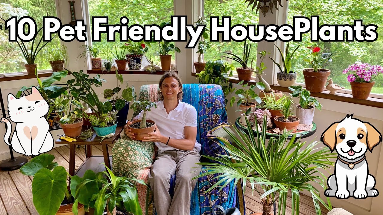 Video thumbnail for 10 Pet Friendly HousePlants (2025 Update)